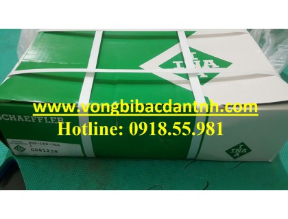 BẠC ĐẠN 81238-M - INA